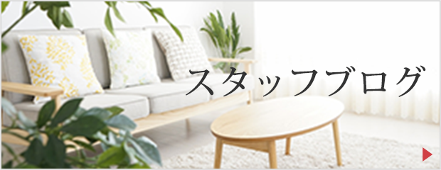 スタッフブログ